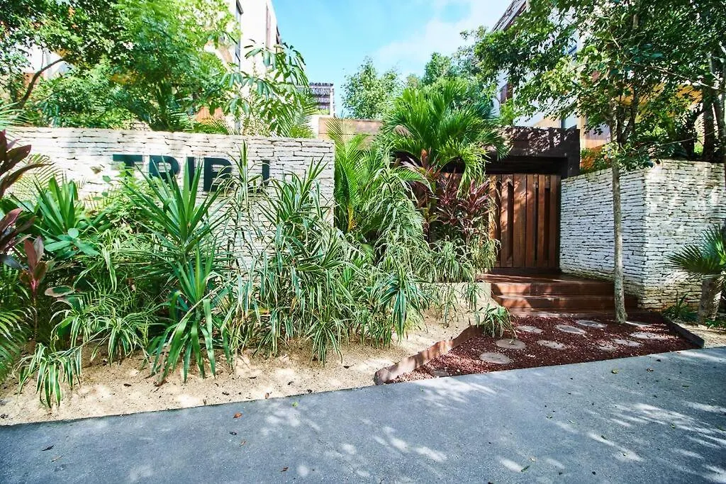 Tribu 205 Magical 1Br Apt Minutes From The Sea 50Mb Wifi Tulum 0*,  Mexico
